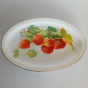 Vintage Royal Bavarian China Strawberry Porcelain Plate- Hutschenreuther Selb